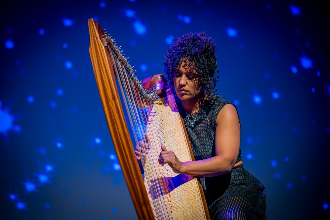 A photo of a harpiste playing on stage.